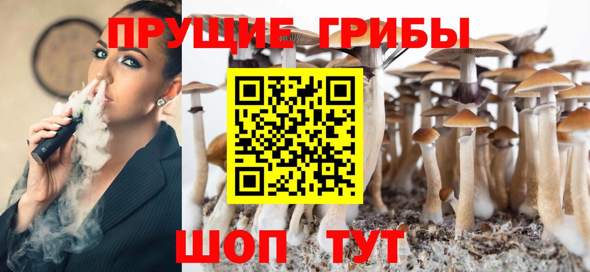Галлюциногенные грибы Psilocybine cubensis  Вход с VPN  Ахтубинск  Псилоцибиновые грибы GOLDEN TEACHER 